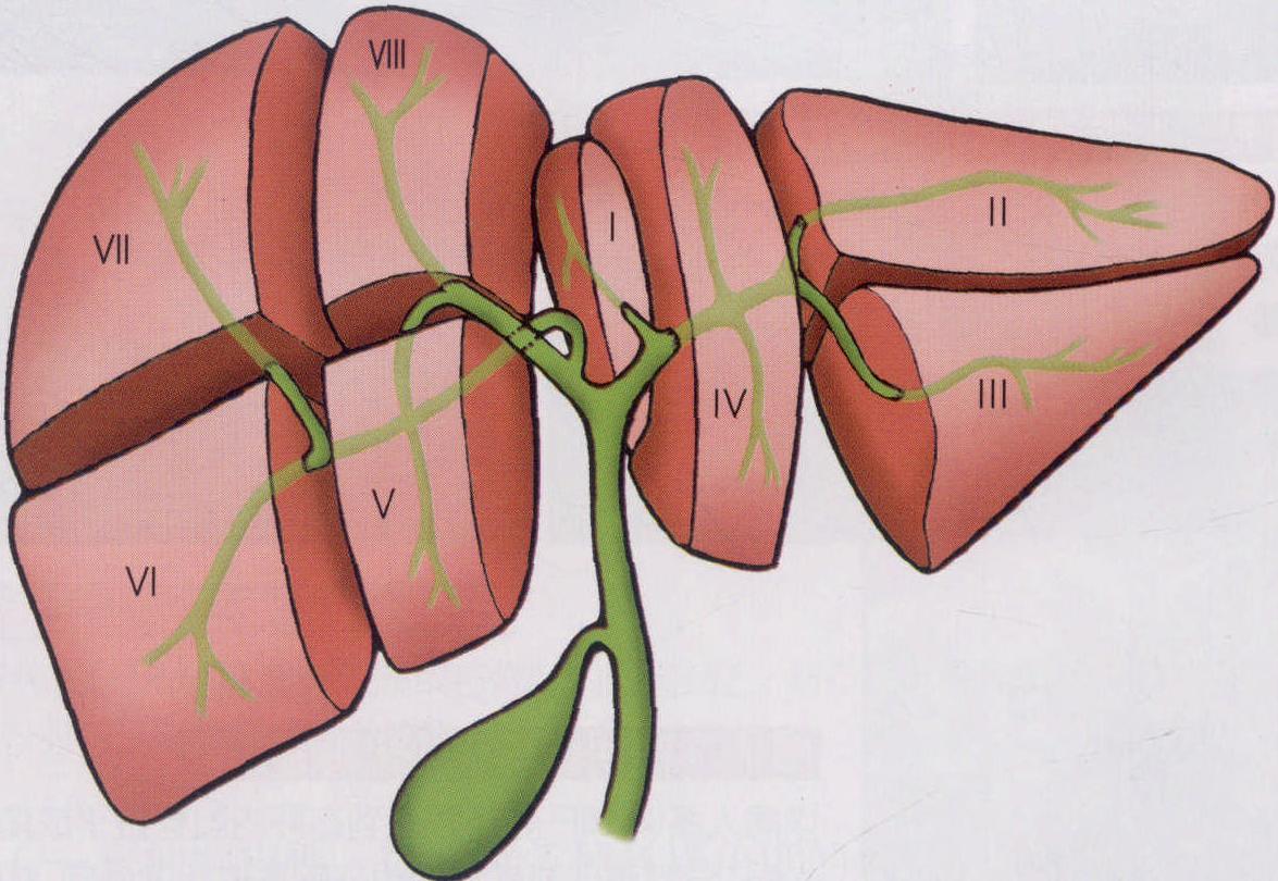 2. 解決疑難問題的先進技術(shù)